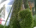Hidden scenes of London
