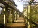 Hidden scenes of London