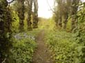 Hidden scenes of London